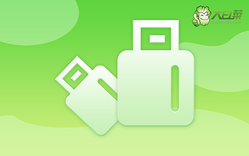 戴爾G3 15PR-8645BR如何用u盤(pán)裝系統(tǒng)win8