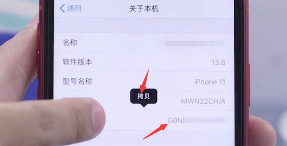 4-長按序列號進行拷貝