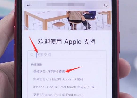 9-搜索并點擊“保修狀態（序列號）查詢”