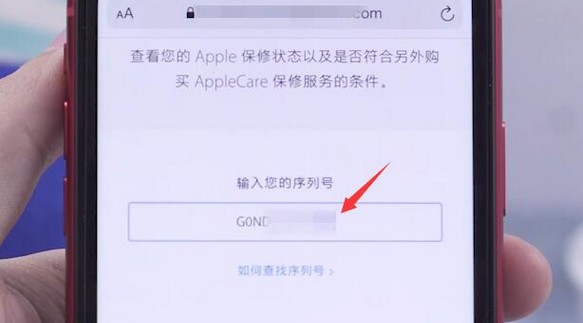 10-將剛剛復制的序列號粘貼進入