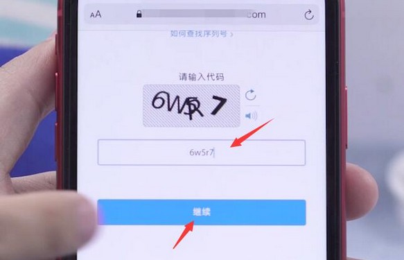 11-查詢蘋果序列號真偽